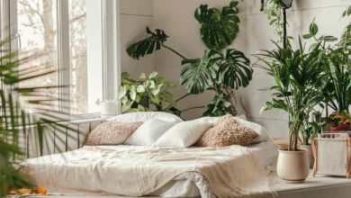 TOP 7 plants on bedroom nightstand improving sleep quality naturally