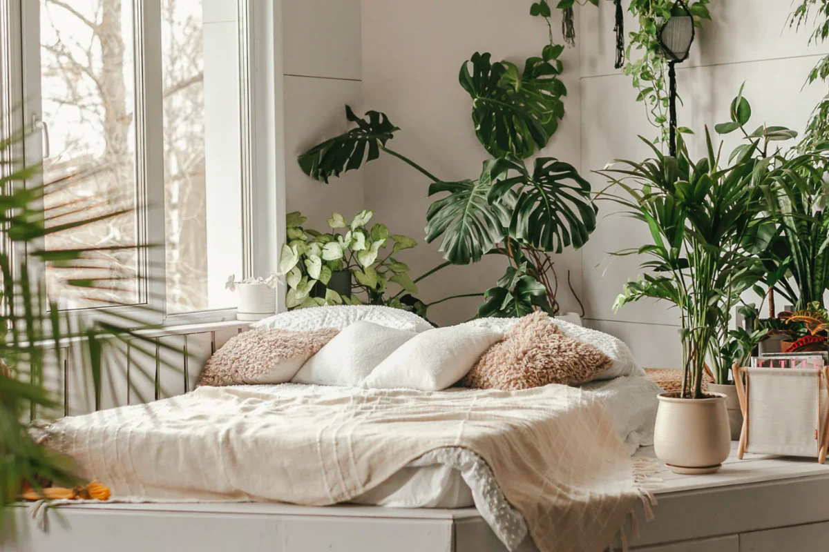 TOP 7 plants on bedroom nightstand improving sleep quality naturally