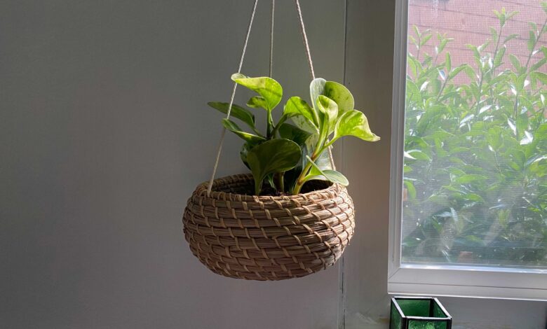 Collection of creative DIY plant pots made from recycled materials and household items showing unique handmade planter designs