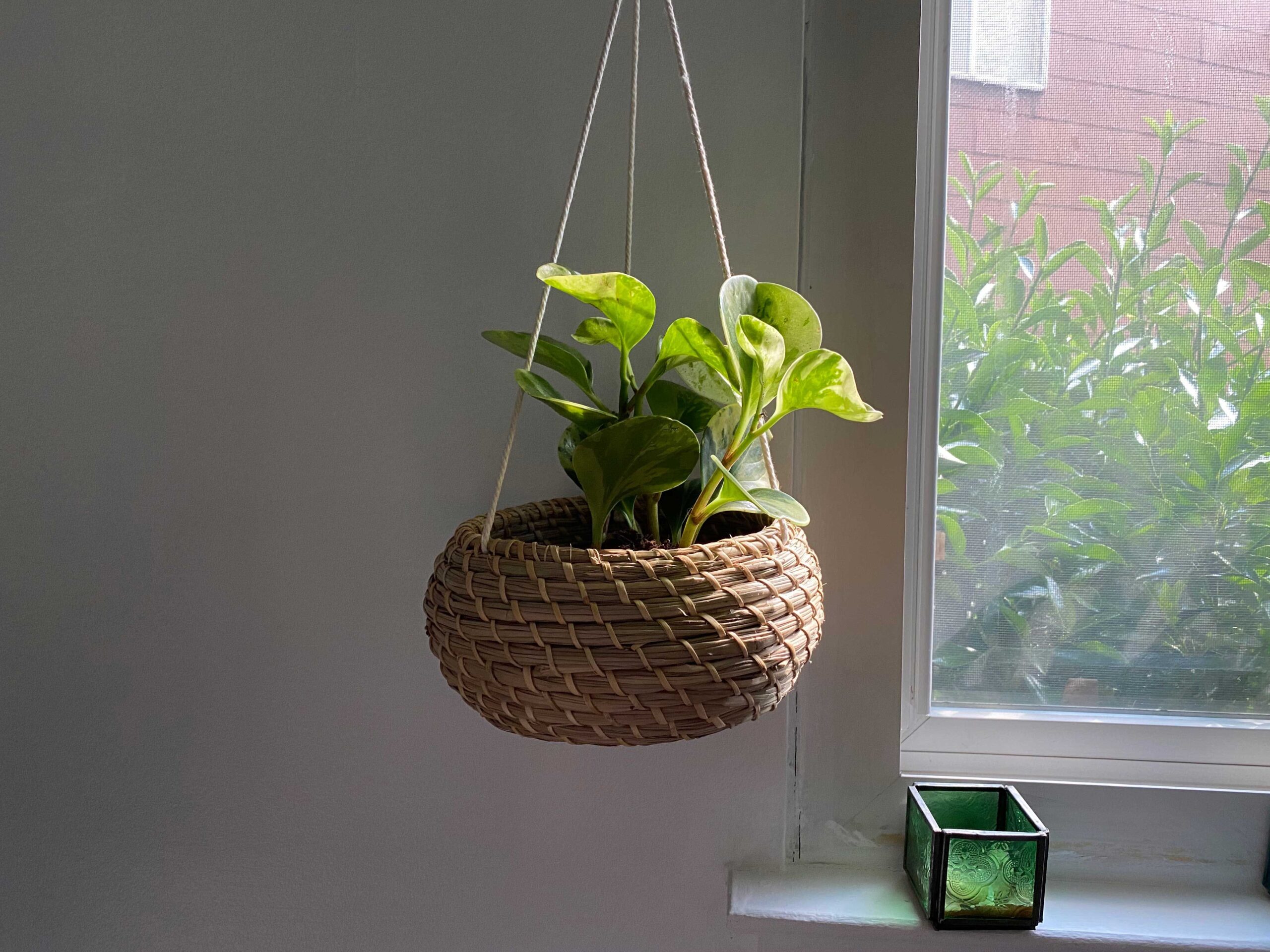 Collection of creative DIY plant pots made from recycled materials and household items showing unique handmade planter designs